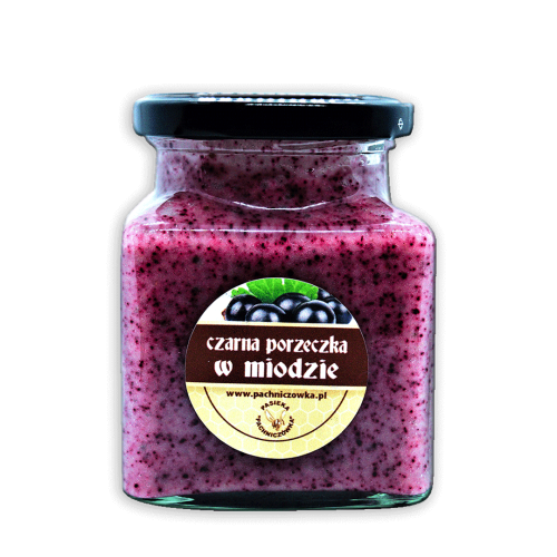 czarna-porzeczka-miod-z-porzeczka.png